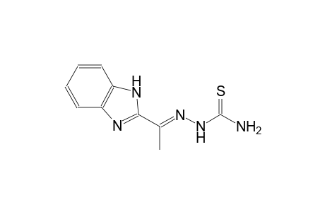 (1E)-1-(1H-benzimidazol-2-yl)ethanone thiosemicarbazone