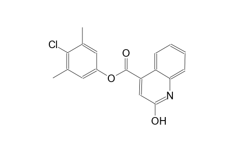 4-chloro-3,5-dimethylphenyl 2-hydroxy-4-quinolinecarboxylate
