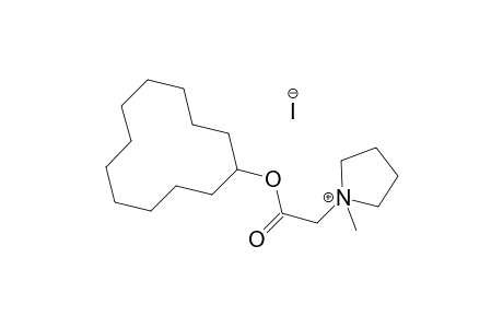 pyrrolidinium, 1-[2-(cyclododecyloxy)-2-oxoethyl]-1-methyl-, iodide