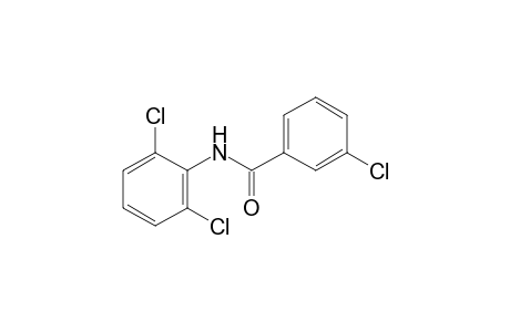 2',3,6'-trichlorobenzanilide