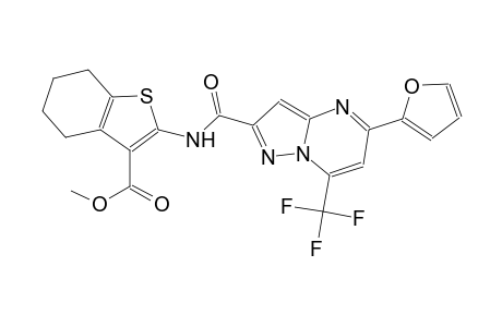 methyl 2-({[5-(2-furyl)-7-(trifluoromethyl)pyrazolo[1,5-a]pyrimidin-2-yl]carbonyl}amino)-4,5,6,7-tetrahydro-1-benzothiophene-3-carboxylate