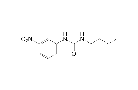 1-butyl-3-(m-nitrophenyl)urea