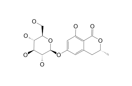 (R)-6-HYDROXYMELLEIN-6-O-BETA-D-GLUCOPYRANOSIDE