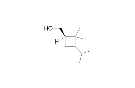 (S)-(+)-Maconelliol