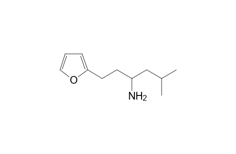 1-(furan-2-yl)-5-methylhexan-3-amine