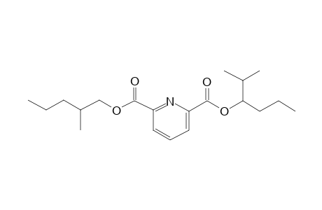 2,6-Pyridinedicarboxylic acid, 2-methylhex-3-yl 2-methylpentyl ester