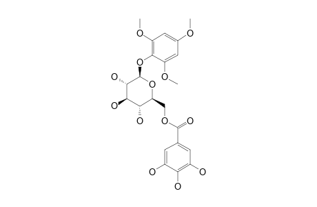2,4,6-TRIMETHOXYPHENOL-1-O-BETA-D-(6'-O-GALLOYL)-GLUCOPYRANOSIDE