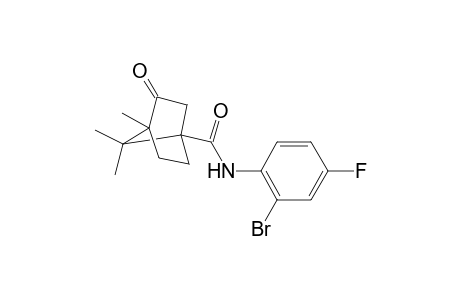 Bicyclo[2.2.1]heptane-1-carboxamide, N-(2-bromo-4-fluorophenyl)-4,7,7-trimethyl-3-oxo-
