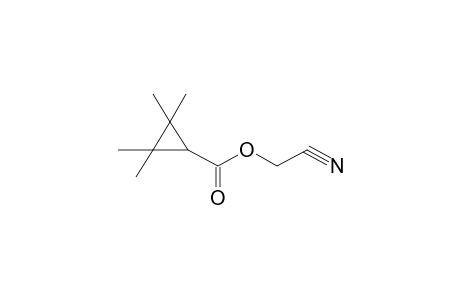 Cyanomethyl 2,2,3,3,-tetramethylcyclopropane-1-carboxylate
