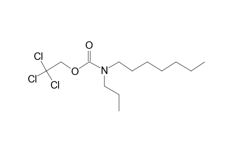 Carbonic acid, monoamide, N-propyl-N-heptyl-, 2,2,2-trichloroethyl ester