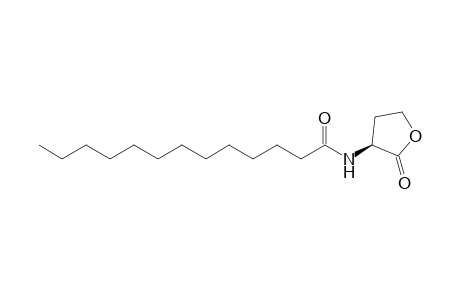 N-Tridecanoyl-homoserine lactone