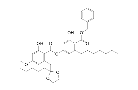 Benzyl 4-O-methylhyperolivetorate - ethylene acetal