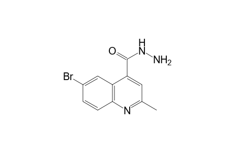 6-bromo-2-methylcinchoninic acid, hydrazide