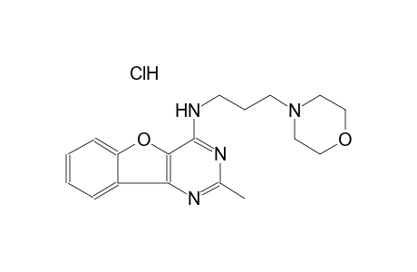 2-methyl-N-[3-(4-morpholinyl)propyl][1]benzofuro[3,2-d]pyrimidin-4-amine hydrochloride