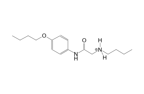 N-[2-(4-butoxyanilino)-2-oxoethyl]-1-butanaminium