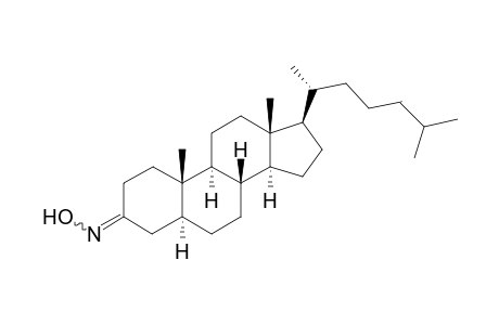 5α-Cholestan-3-one oxime