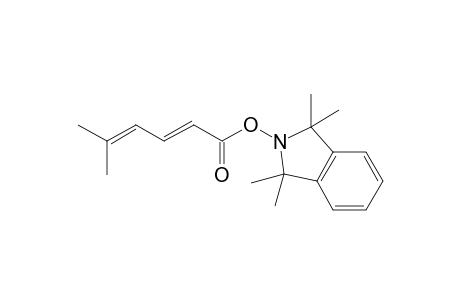 (E)-2',2'-Dimethylpropyl-1-(1,1,3,3-Tetramethylbenzo[c]pyrrolidine-1-oxyl)ketene