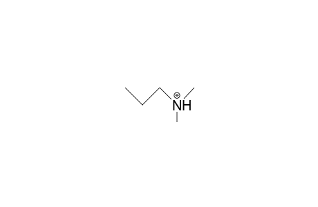 N,N-Dimethyl-propylammonium cation