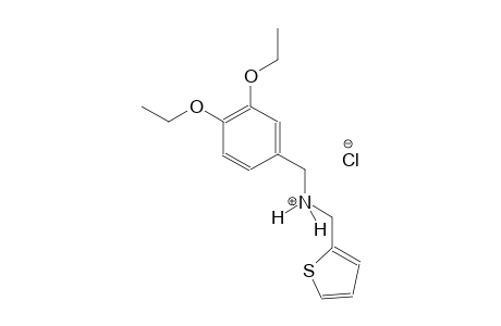 N-(3,4-diethoxybenzyl)(2-thienyl)methanaminium chloride
