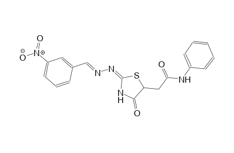 2-{(2E)-2-[(2E)-2-(3-nitrobenzylidene)hydrazono]-4-oxo-1,3-thiazolidin-5-yl}-N-phenylacetamide