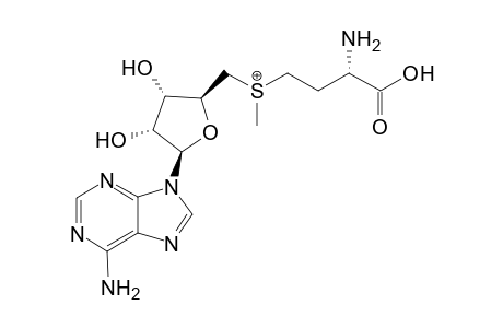 s-(5'-Adenosyl)-L-methionine
