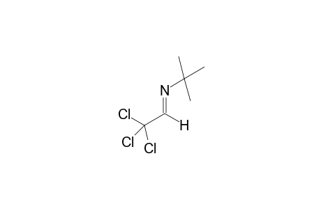 N-tert-Butyl-(2,2,2-trichloroethylidene)amines