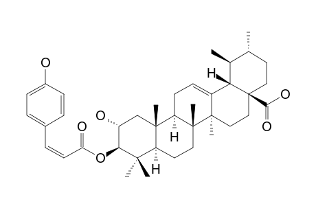 3-BETA-O-CIS-PARA-COUMAROYL-2-ALPHA-HYDROXY-URS-12-EN-28-OIC-ACID