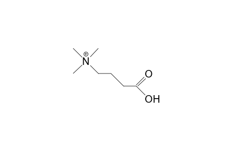 4-Amino-butyric acid, betaine cation