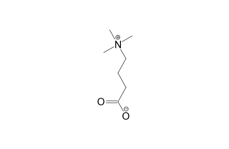 1-Propanaminium, 3-carboxy-N,N,N-trimethyl-, hydroxide, inner salt