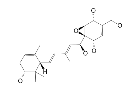 ARTHROSPOROL_B