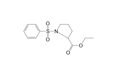 Pyrrolidine-2-carboxylic acid, 1-phenylsulfonyl-, ethyl ester