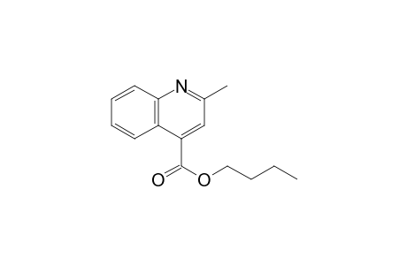 2-methylcinchoninic acid butyl ester