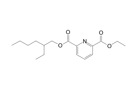 2,6-Pyridinedicarboxylic acid, ethyl 2-ethylhexyl ester