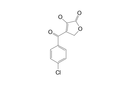4-(4-CHLOROBENZOYL)-3-HYDROXY-2(5H)-FURANONE