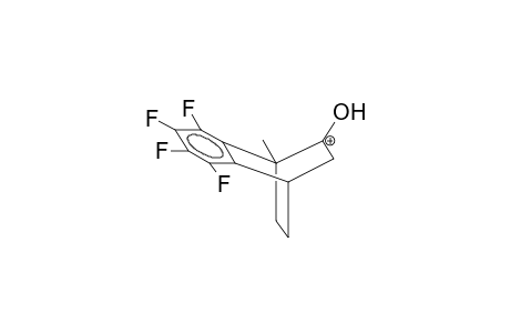 1-METHYL-2-HYDROXY-5,6-TETRAFLUOROBENZOBICYCLO[2.2.2]OCT-5-EN-2-YLCATION