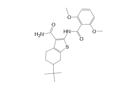 6-tert-butyl-2-[(2,6-dimethoxybenzoyl)amino]-4,5,6,7-tetrahydro-1-benzothiophene-3-carboxamide