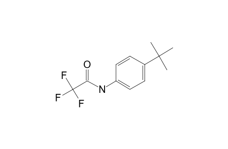 4-Tert-butylaniline, N-trifluoroacetyl-