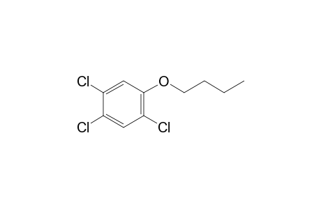 2,4,5-Trichlorophenyl butyl ether