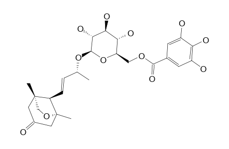 MACARANGIOSIDE-B;(7E,9R)-MEGASTIGMAN-7-EN-3-ONE-5,11-EPOXY-9-OL-9-O-(6'-O-GALLOYL)-BETA-D-GLUCOPYRANOSIDE