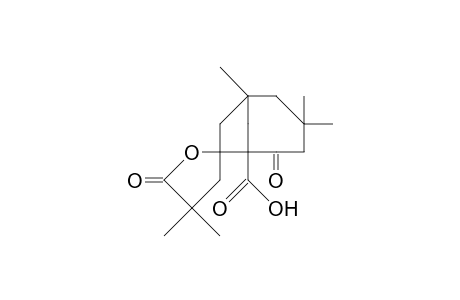 1,3,3,4',4'-Pentamethyl-5,5'-dioxo-bicyclo(4.2.1nonane-7-spiro-2'-( tetrahydro-furan)-6-carboxylic acid