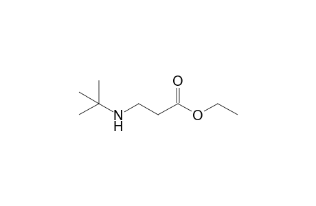 3-(tert-butylamino)propanoic acid ethyl ester