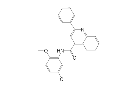 N-(5-chloro-2-methoxyphenyl)-2-phenyl-4-quinolinecarboxamide