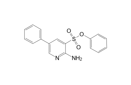 Phenyl 2-Amino-5-phenylpyidine-3-sulfonate