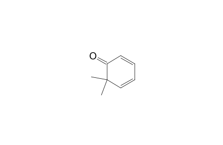 6,6-Dimethyl-1-cyclohexa-2,4-dienone