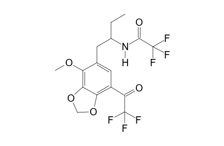 1-(2-Methoxy-3,4-methylenedioxyphenyl)butan-2-amine 2TFA I