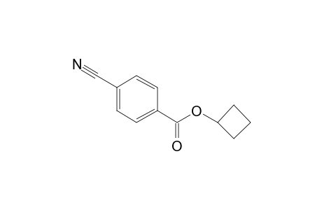 Cyclobutyl 4-cyanobenzoate