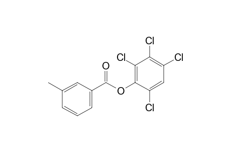 Benzoic acid, 3-methyl-, 2,3,4,6-tetrachlorophenyl ester