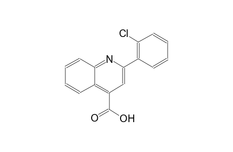 2-(2-chlorophenyl)-4-quinolinecarboxylic acid