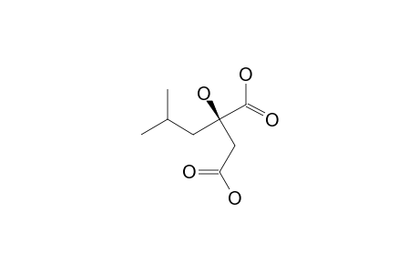 (2R)-2-HYDROXY-2-(2-METHYLPROPYL)-BUTANEDIOIC-ACID