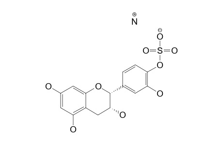 EPICATECHIN-4'-SULFATE_AMMONIUM_SALT